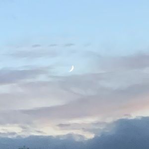 Meet your Posher, Ava